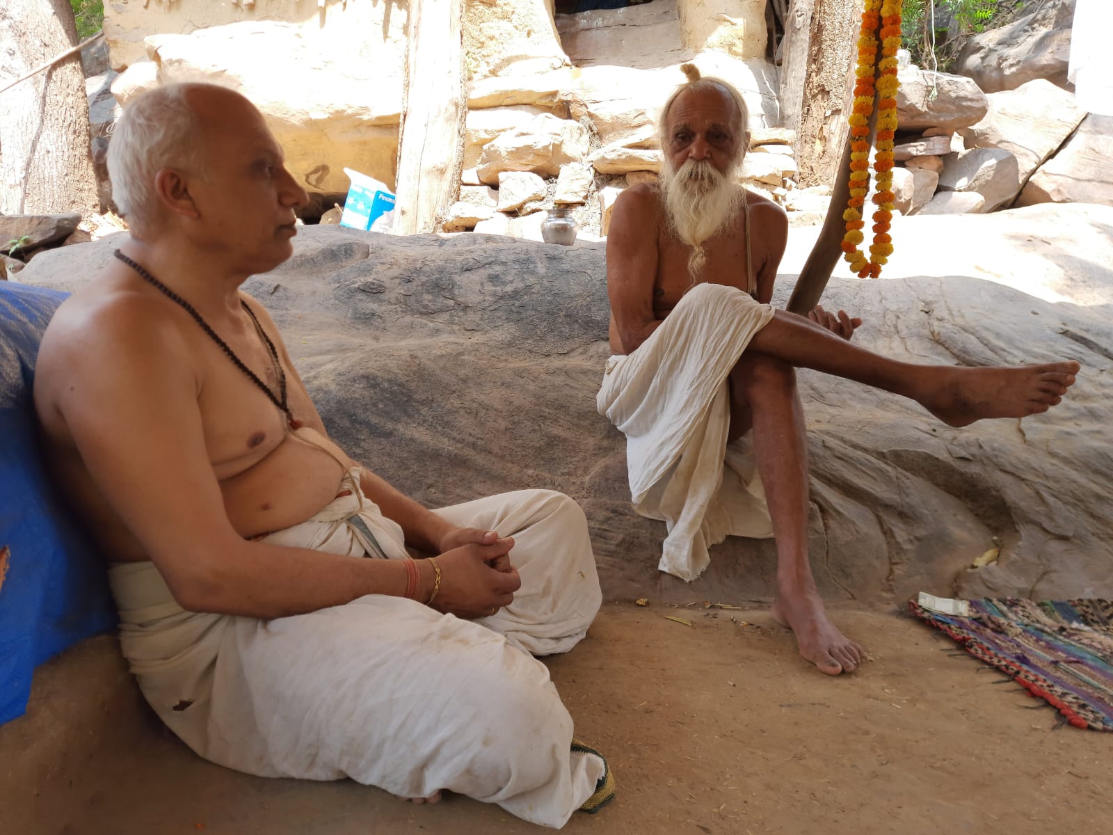 Sangha · 2021–2026 · 317