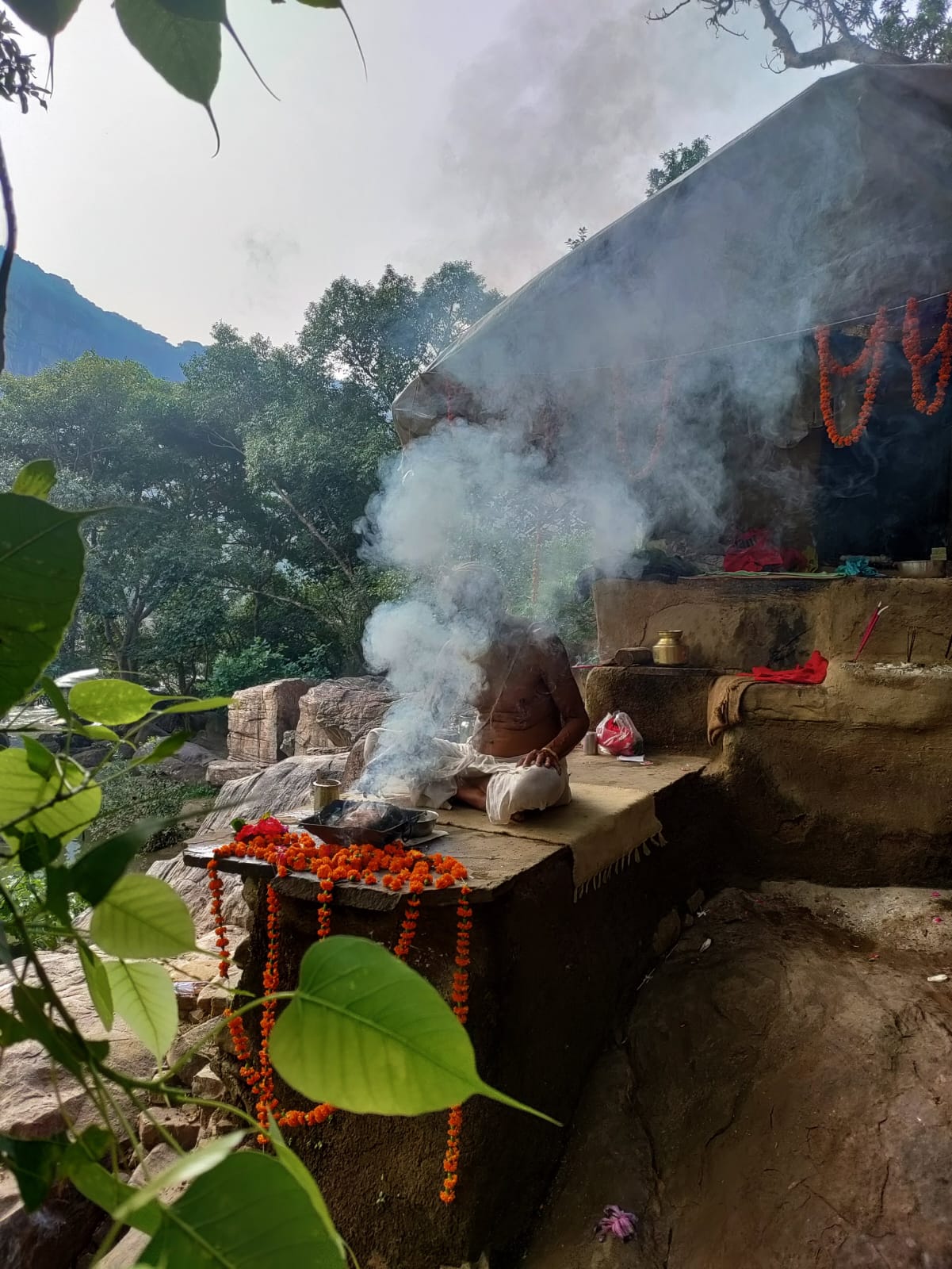 Sangha · 2021–2026 · 682