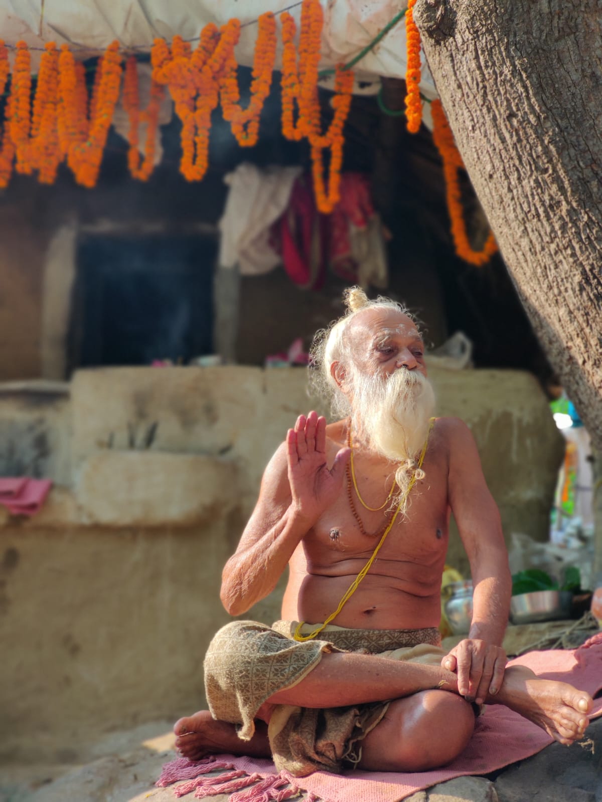 Sangha · 2011–2020 · 164