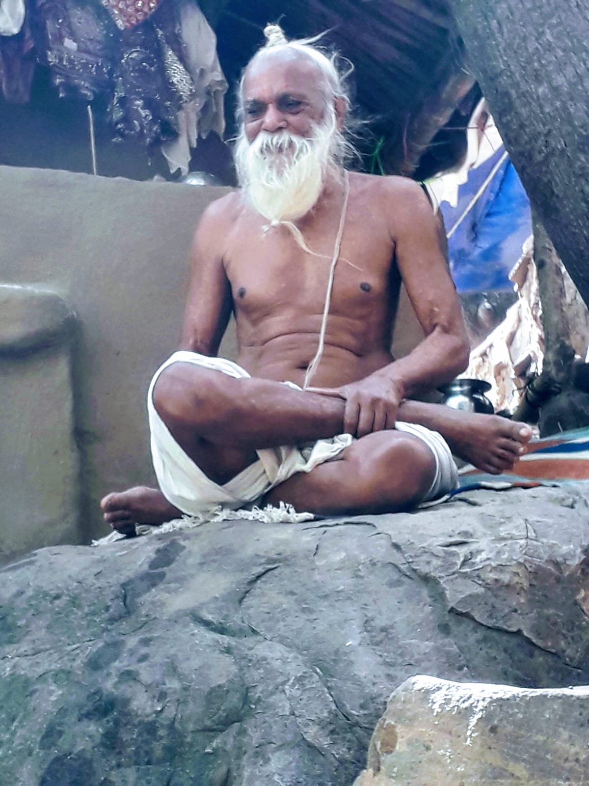 Sangha · 2021–2026 · 540