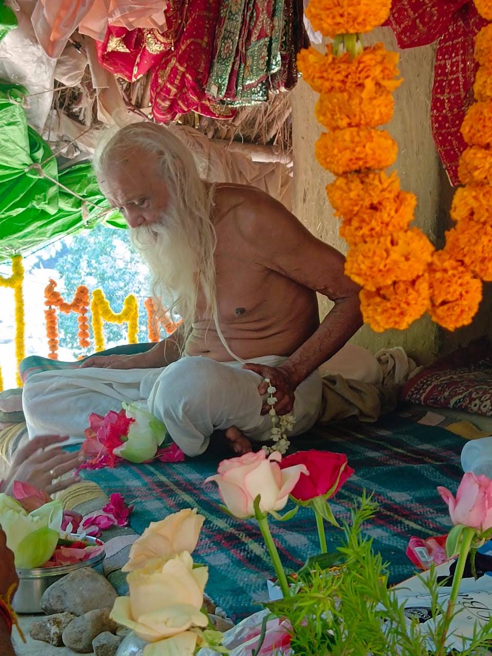 Sangha · 2021–2026 · 602