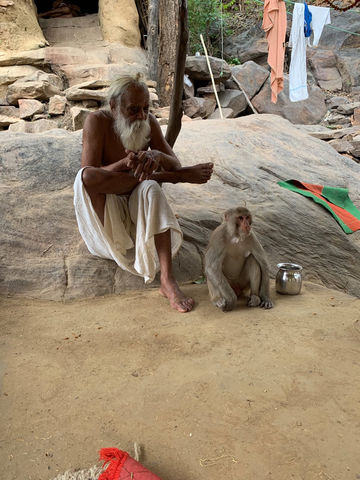 Sangha · 2021–2026 · 402