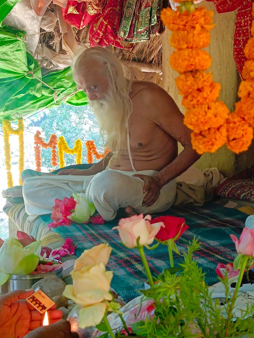 Sangha · 2021–2026 · 603