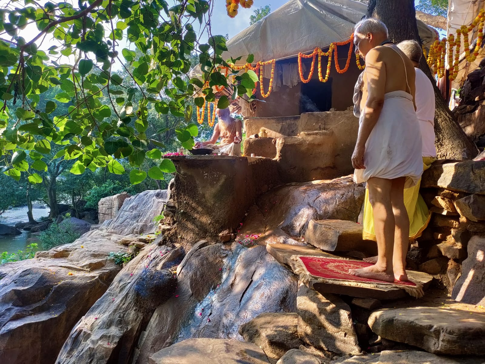 Sangha · 2021–2026 · 733