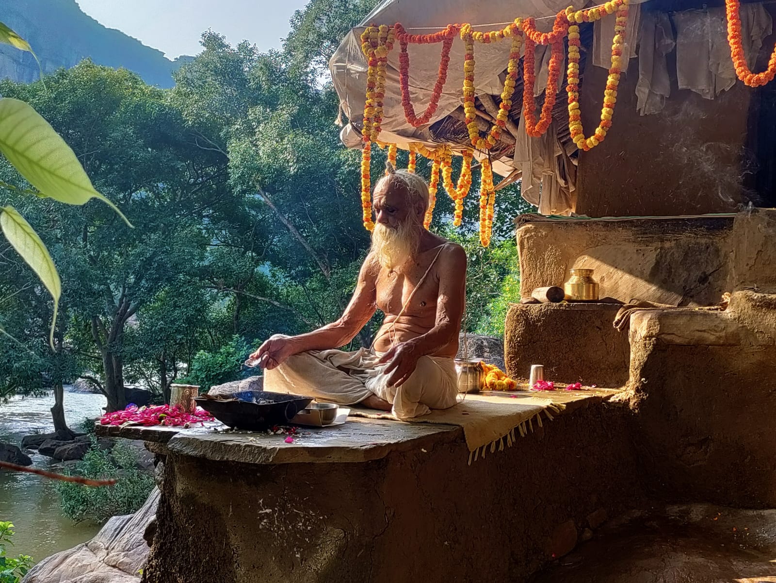 Sangha · 2021–2026 · 734