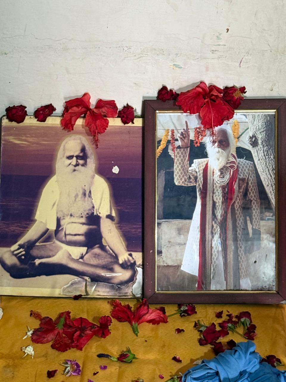 Sangha · 2021–2026 · 278
