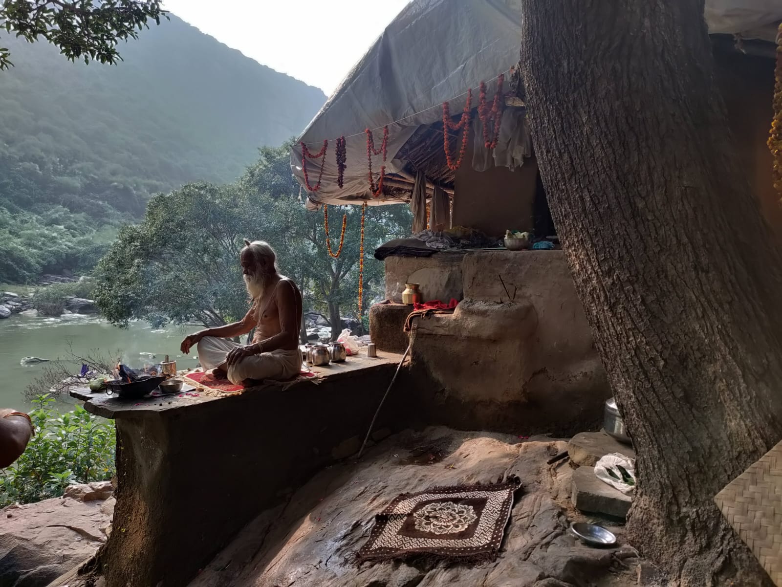 Sangha · 2021–2026 · 677