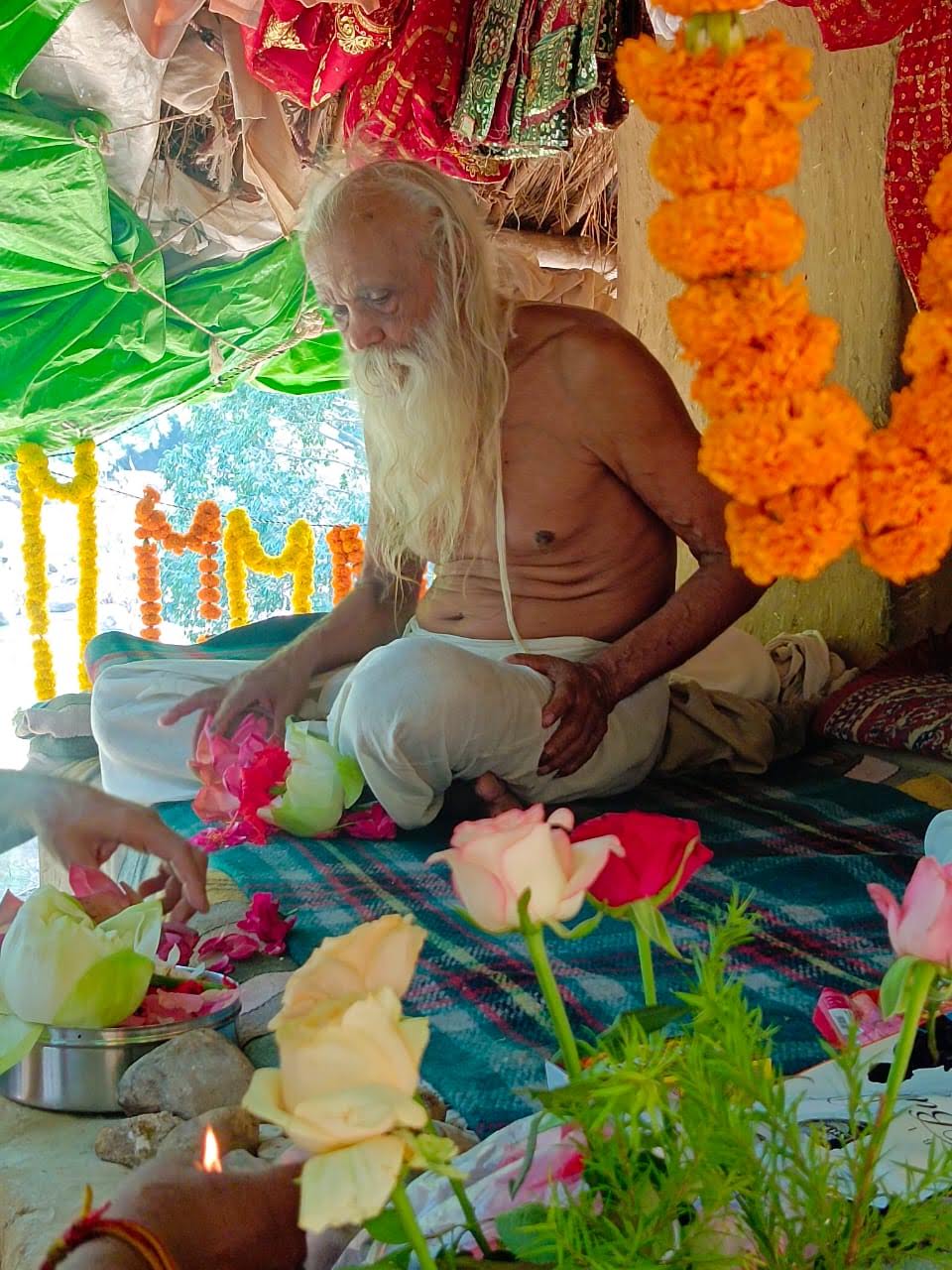 Sangha · 2021–2026 · 611