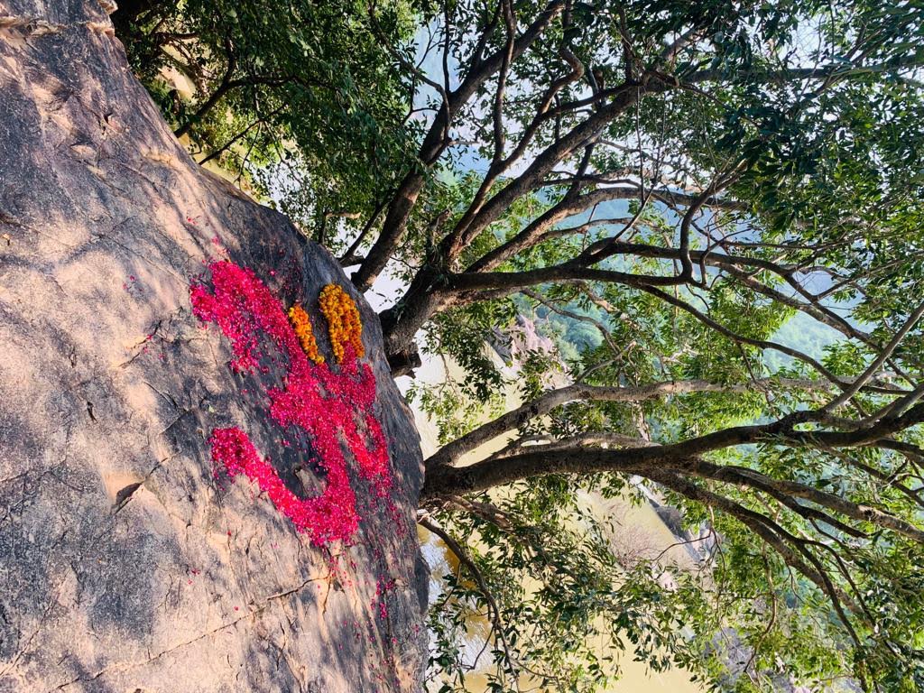 Sangha · 2021–2026 · 715