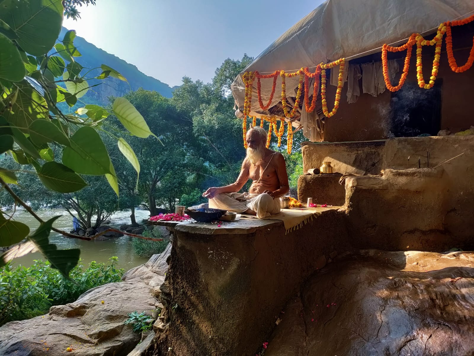 Sangha · 2021–2026 · 730