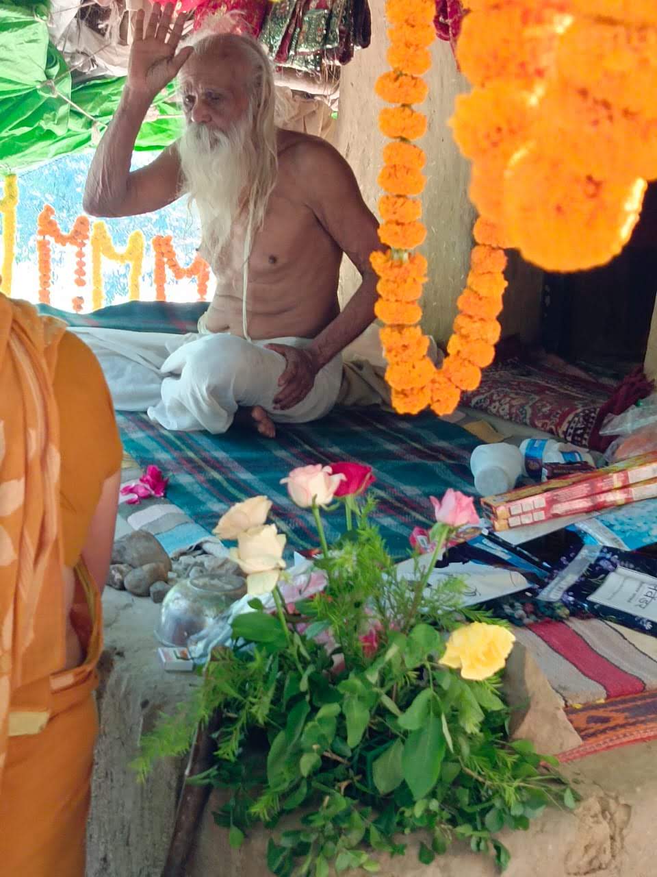 Sangha · 2021–2026 · 596