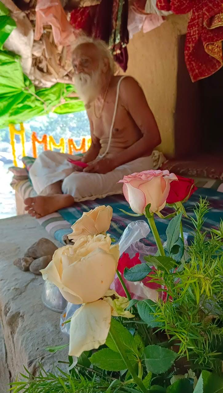Sangha · 2021–2026 · 619