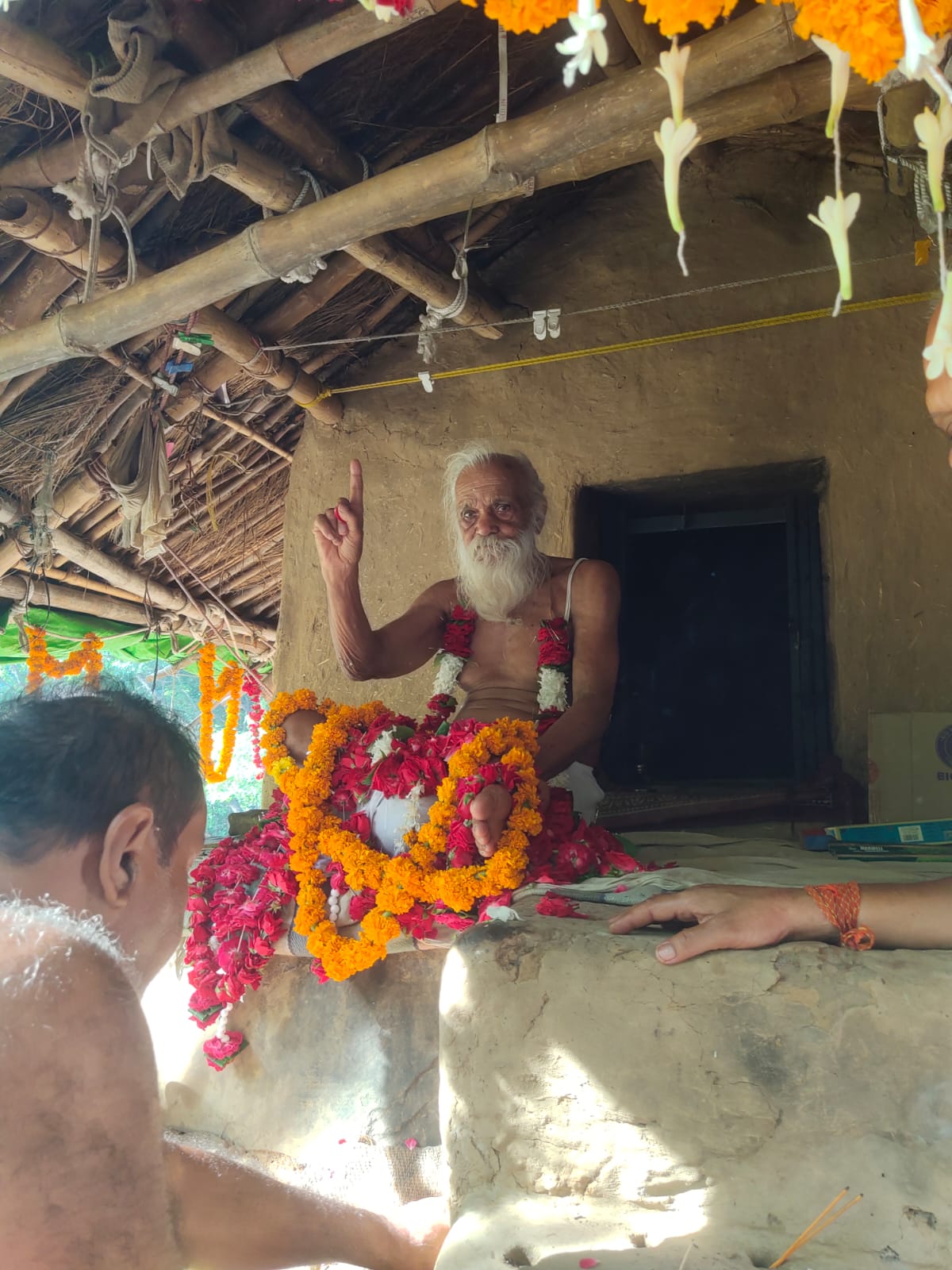 Sangha · 2021–2026 · 517