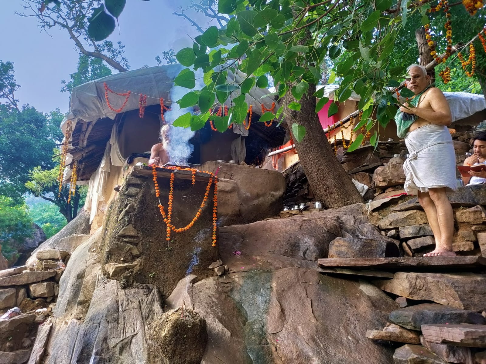 Sangha · 2021–2026 · 684
