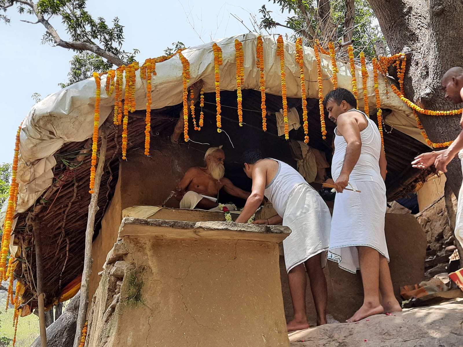 Sangha · 2021–2026 · 320