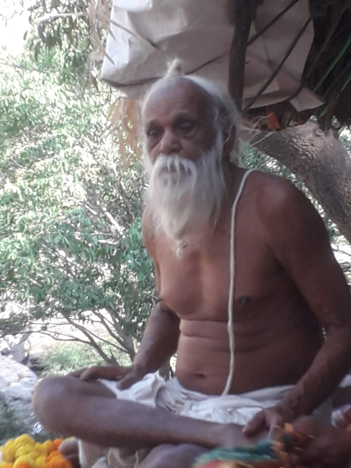 Sangha · 2021–2026 · 465