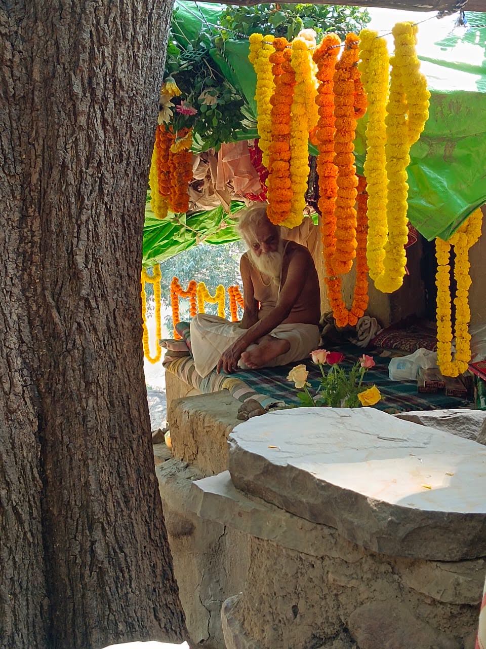 Sangha · 2021–2026 · 609